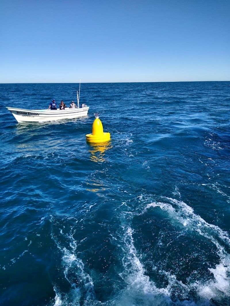 colocan-boyas-para-senalizar-area-de-recuperacion-de-vaquita-marina-en-mexico