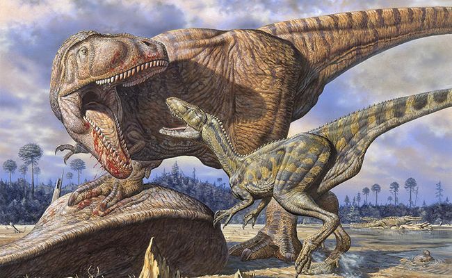 Todos los dinosaurios carnívoros comían la misma carne? | BajaPress