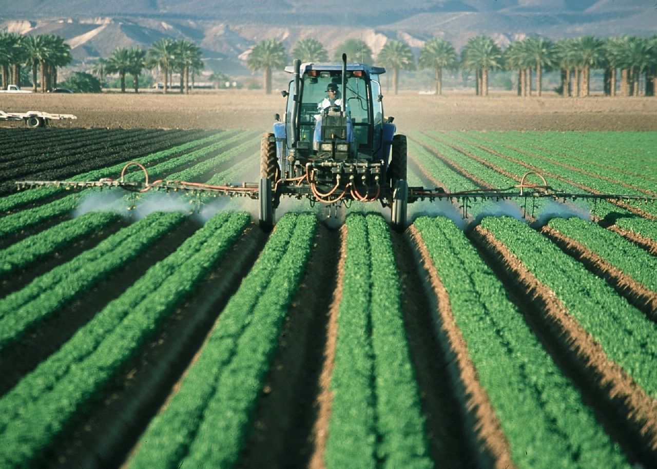 granjeros-alertan-que-cerrar-la-frontera-paralizara-la-agricultura-de-eeuu2