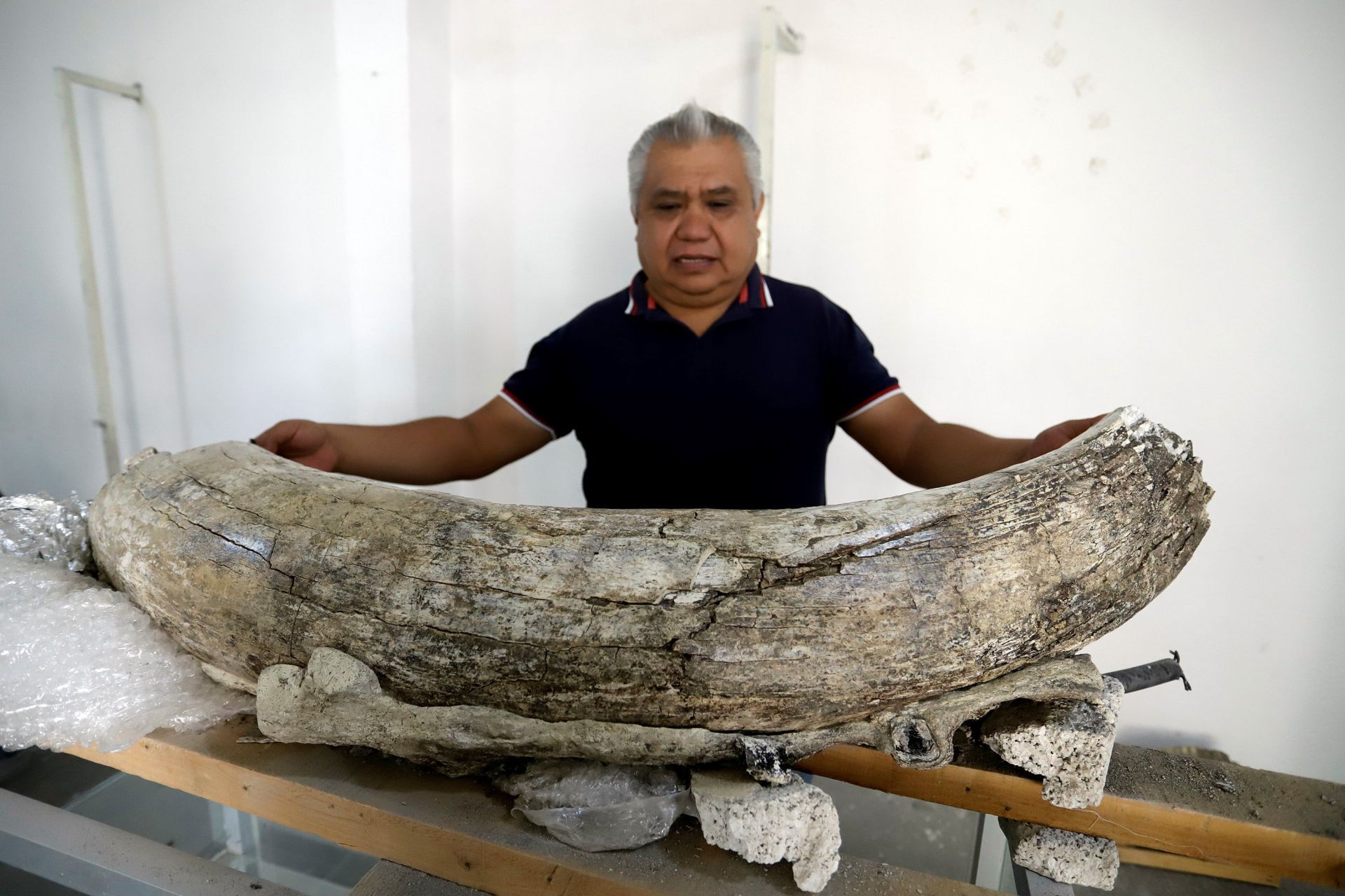 hallan-fosiles-animales-de-entre-10000-y-14000-anos-en-puebla