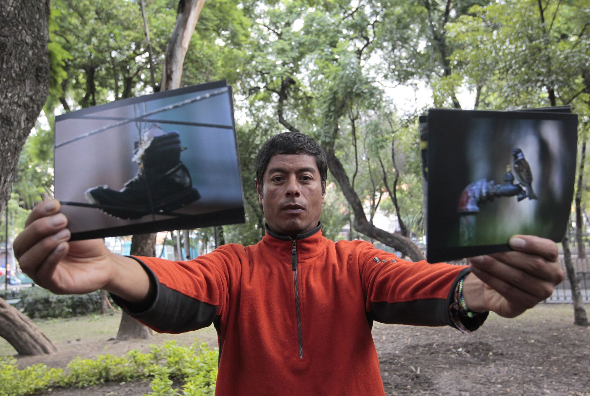 La dura supervivencia de los pájaros en Ciudad de México