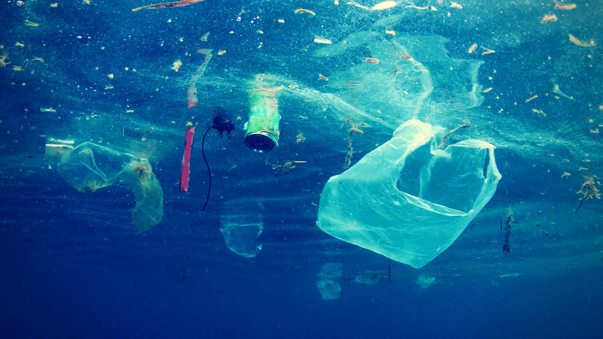 Resultado de imagen para Microplásticos y sobrepesca constituyen amenazas más graves para los océanos