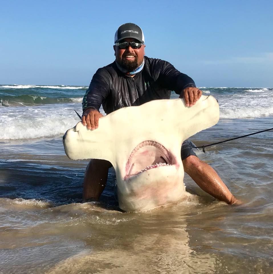 Tiburón martillo de más de 4 m es el 'trofeo' de un texano que consiguió su captura