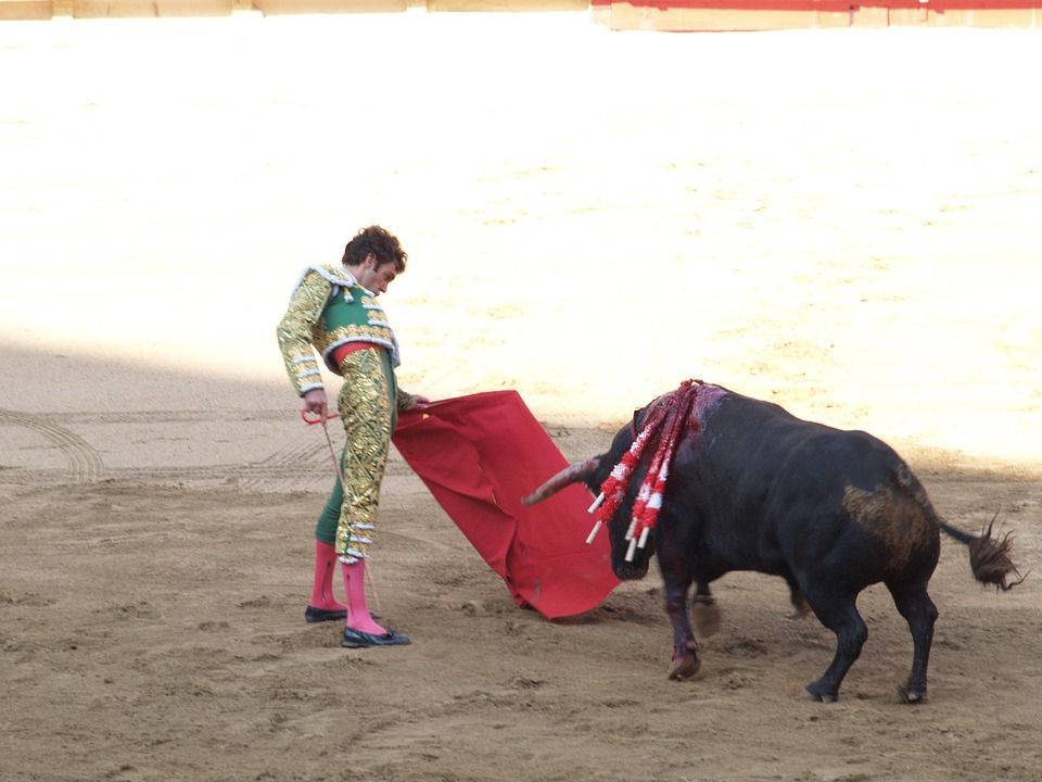 quintana-roo-prohibe-las-corridas-de-toros