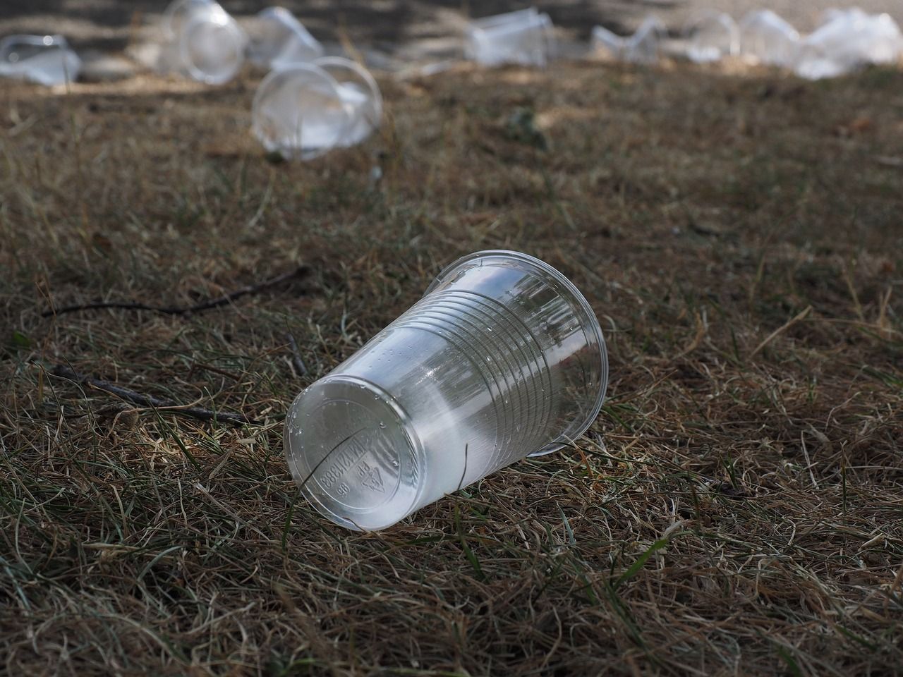 tabasco-prohibe-a-comercios-distribuir-objetos-de-plastico2