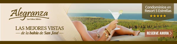 Banner horizontal
