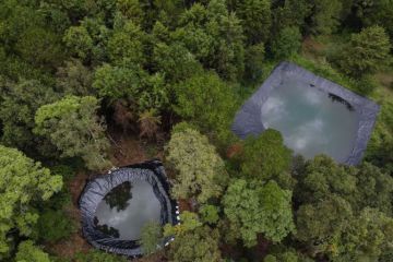 El cuidado del bosque ayuda a abastecer de agua ante graves sequías en México