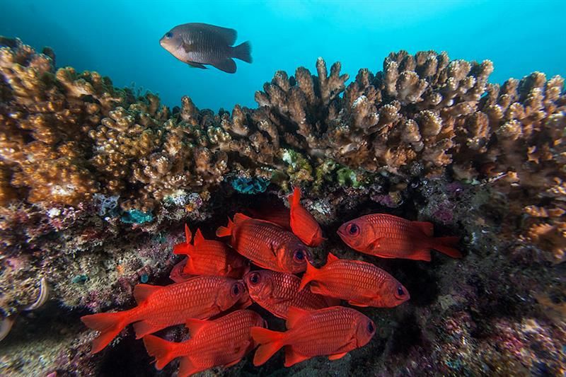 el acuario del mundo, baja california sur