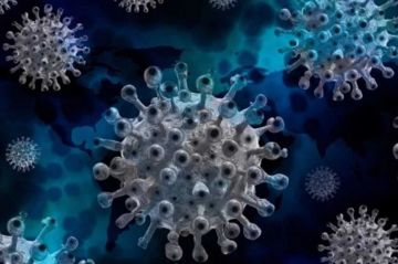 El salto del coronavirus y otros virus animales al hombre: La ciencia busca soluciones