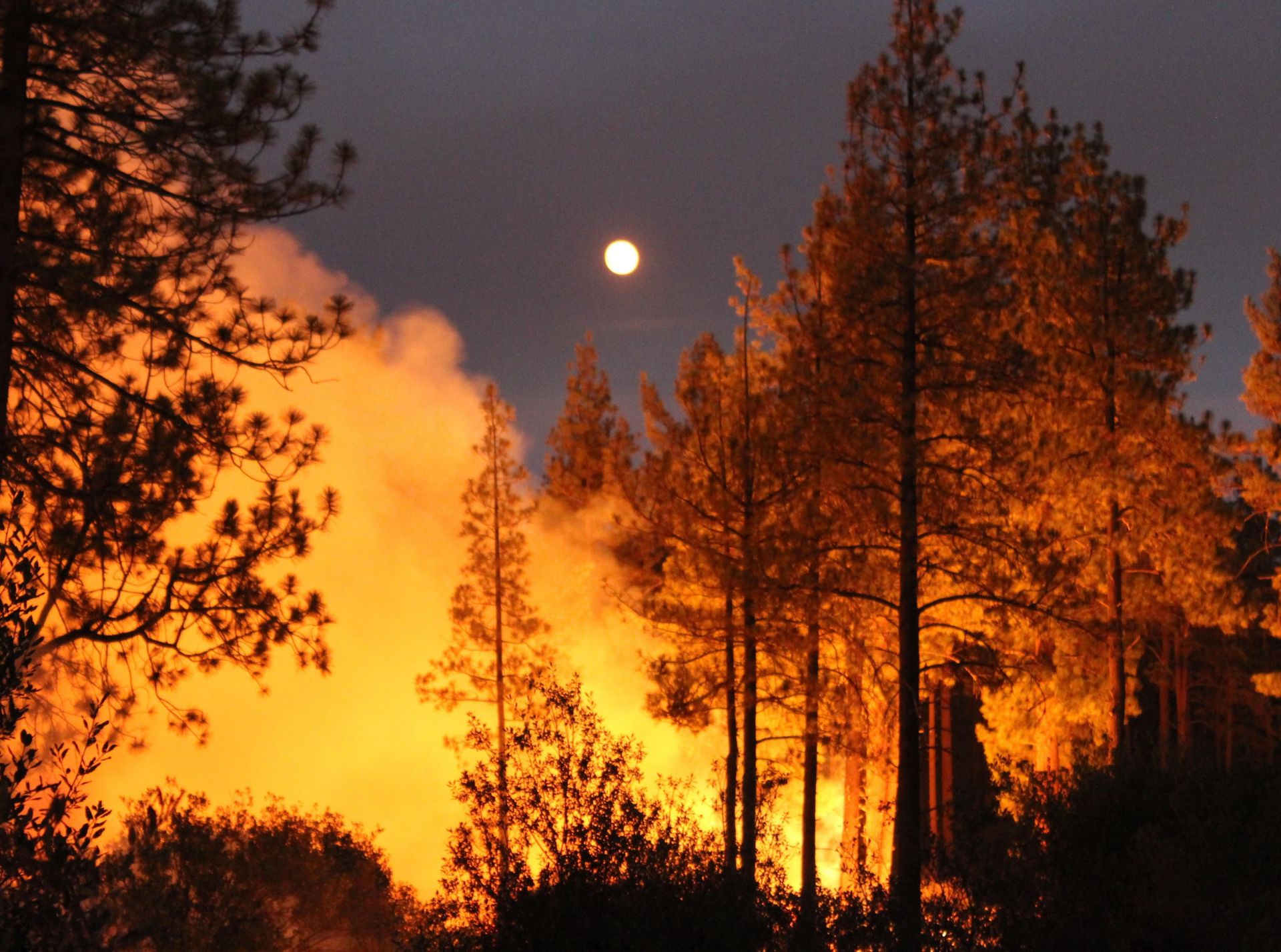 Cranston Fire hace que funcionarios del Bosque Nacional de San Bernardino anuncien el cierre