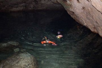 Ambientalistas temen contaminación de cenotes por granja de cerdos en Yucatán