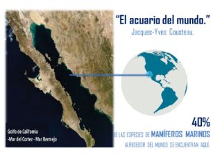 La Península de Baja California es un brazo de tierra que tiene un área de 143,600 km2