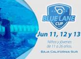 Blue Lane Cup