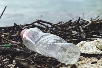 México emprende cruzada contra plásticos de un solo uso y busca alternativas