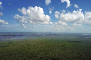 Daños por incendios en reserva natural Sian Ka'an pueden persistir 200 años