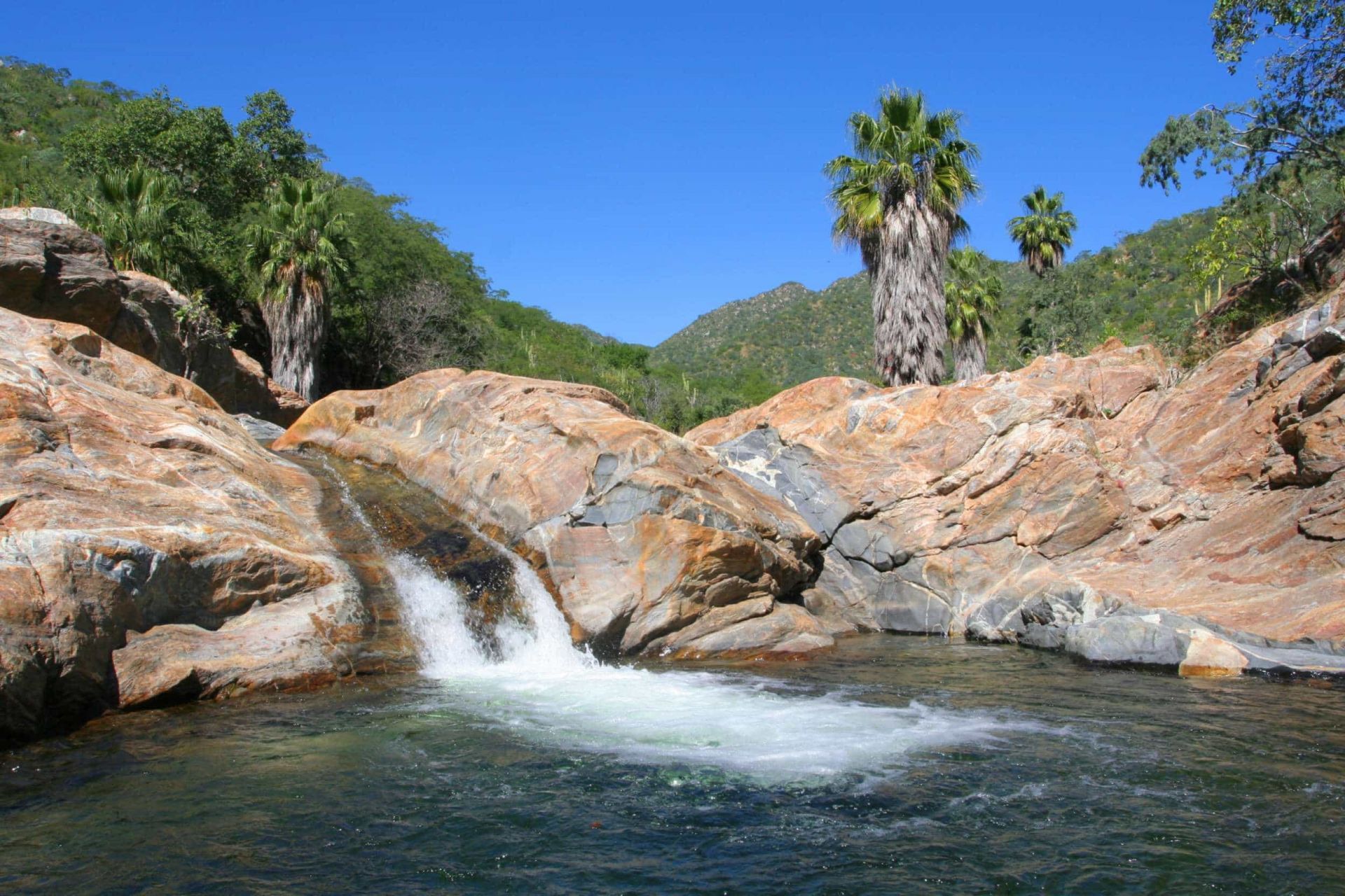 sierra de la laguna los cabos Baja California sur biosfera reserva