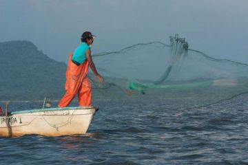 El Fondo Mundial para la Naturaleza (WWF) y una fundación de Jeff Bezos restaurarán manglares de México